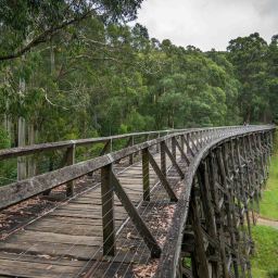 Trevor McDonald, the Reptile Wrangler