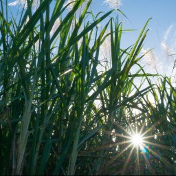 My Top Four Editing Tips