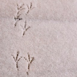 Engineering the Story—How to Write a Novel in 80 Days