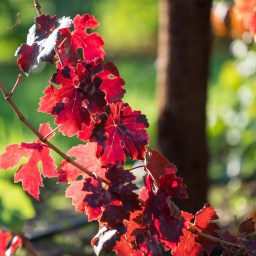 The Winding Narrative Turns One