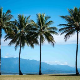 The Perfect Time to Write