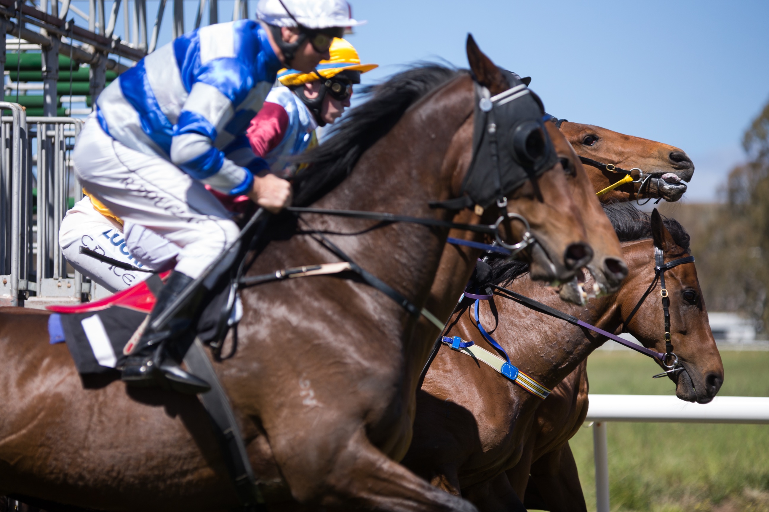 Sandra Mansfield Cup