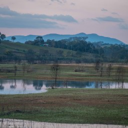 Produced in Mansfield