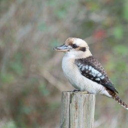 The Winding Narrative Turns Two