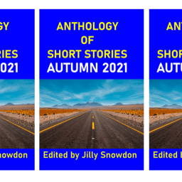 About The Cellist Stalker