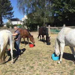 Bob Van Laerhoven on Alejandro’s Lie