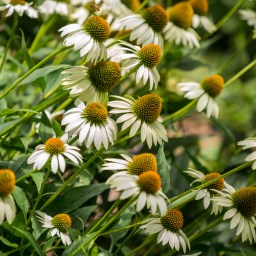 The Winding Narrative Turns Four