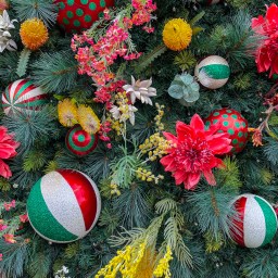 Christmas Book List 2022