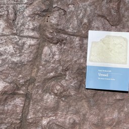 Dani Netherclift on writing to resolve grief