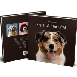 Sandra Lording on the Dogs of Mansfield Book Project