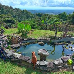 Elizabeth Worley on life in Panama and Chasing Tropical Ice