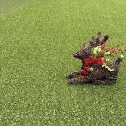 Christmas Book List 2025