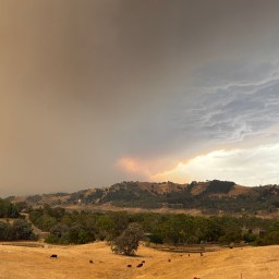 Driving Through a Red Fire Zone