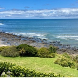 Bookish Banter Newsletter